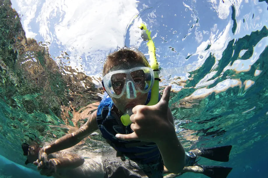 Pacific Whale Foundation Maui Snorkel & Sunset Sail